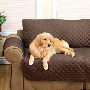 Protective Couch Cover (2 Seater)